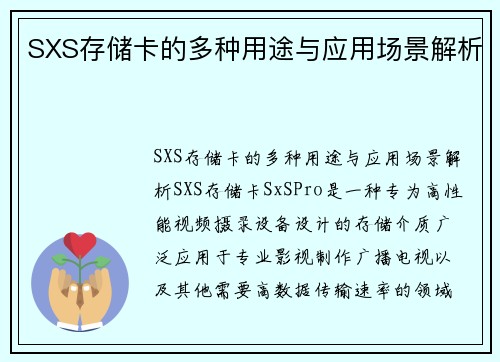 SXS存储卡的多种用途与应用场景解析